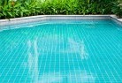 Whyalla Jenkinsswimming-pool-landscaping-17.jpg; ?>